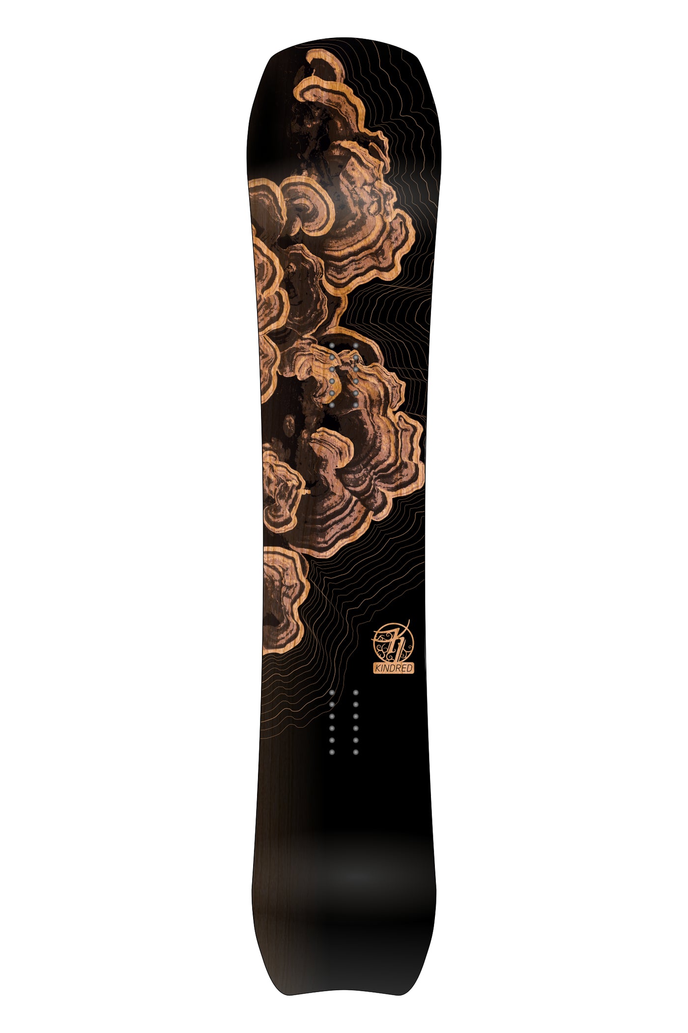 Kindred Tsitika snowboard featuring a graphic rendered stack of turkey tail mushrooms or fungi. Surrounding the fungi are thin lines mimicking a topographic map.