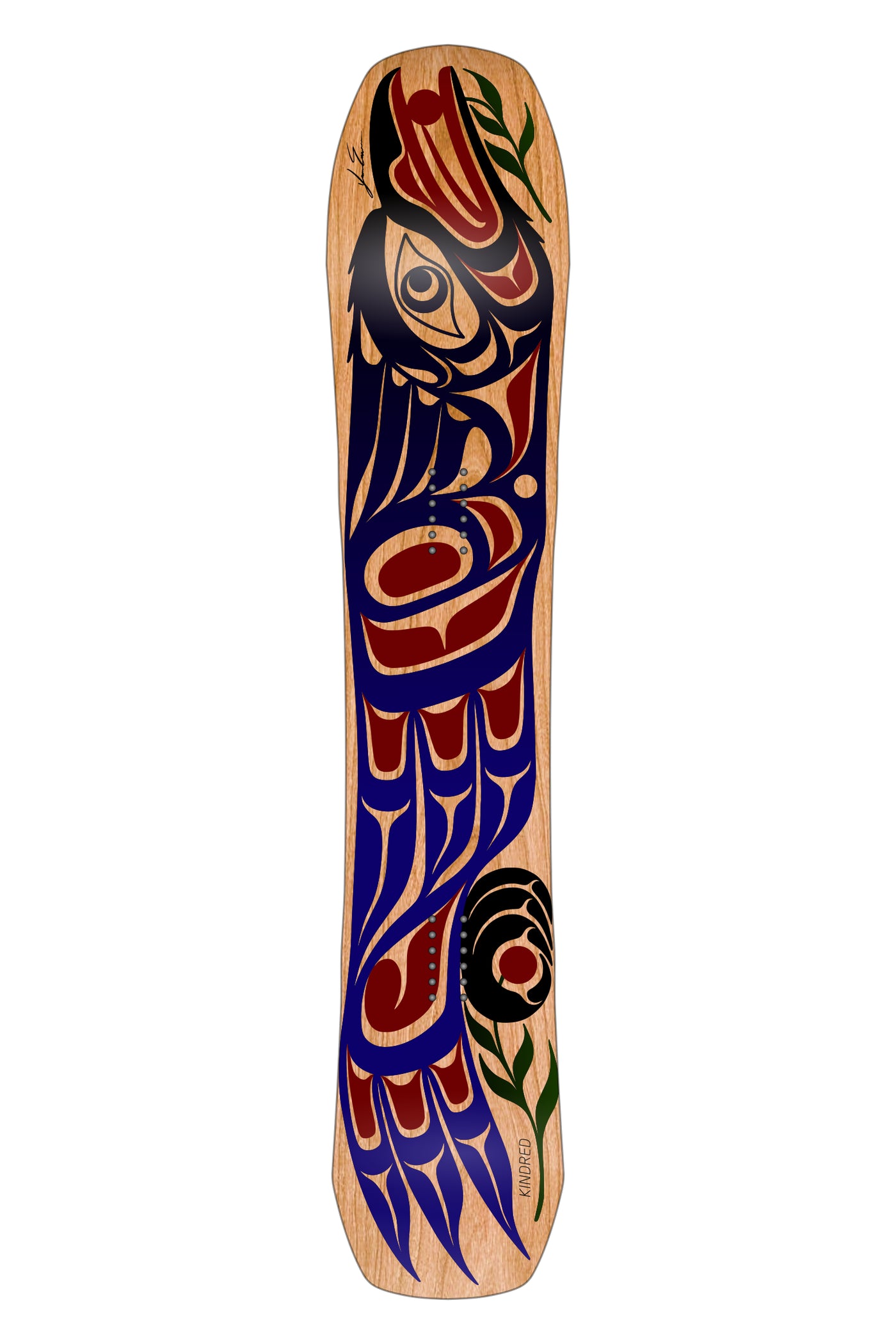 Woodgrain Kindred Ukee snowboard featuring a bold graphic coastal formline design of a stellar jay in blue, black and red. Artwork by Karver Everson.
