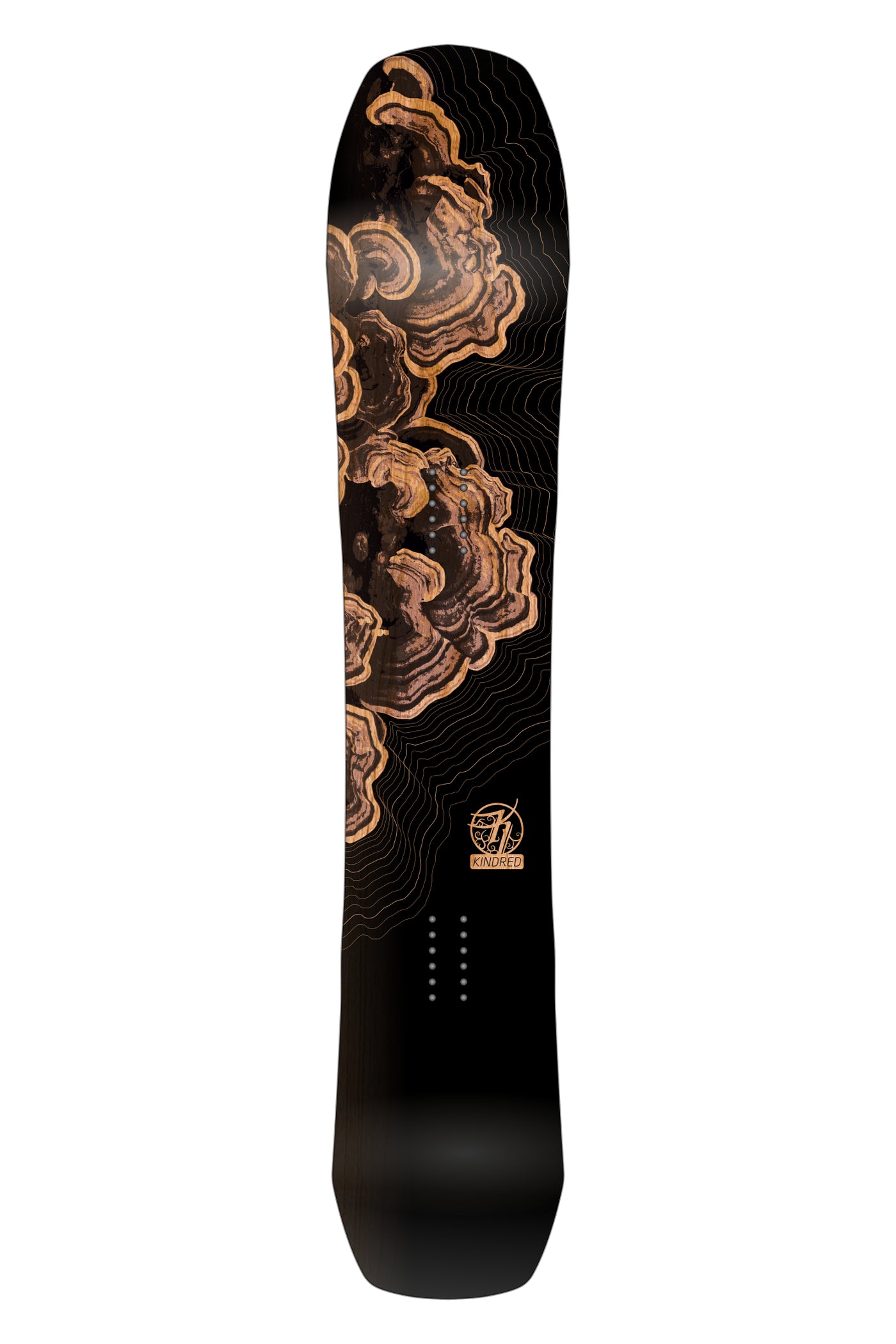 Kindred Ukee snowboard featuring a graphic rendered stack of turkey tail mushrooms or fungi. Surrounding the fungi are thin lines mimicking a topographic map.